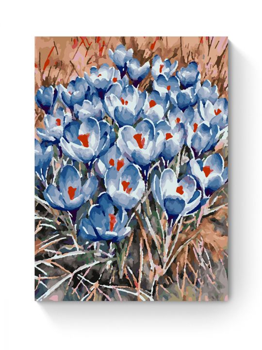 Картина по номерам на подрамнике «Крокусы» 40x30 см