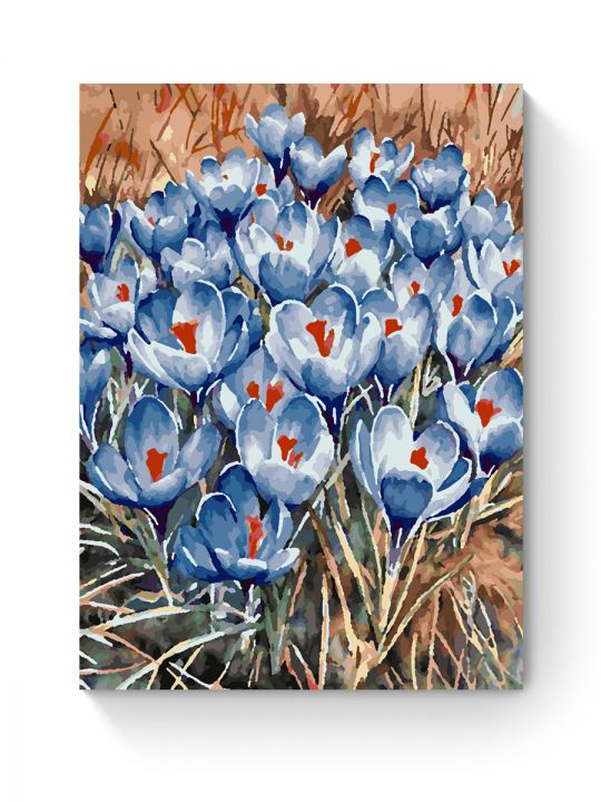 Картина по номерам на подрамнике «Крокусы» 50x40 см