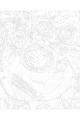 Картина по номерам на подрамнике «Кофе и розы» 50x40 см