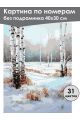 Картина по номерам без подрамника «Зимний лес» 40x30 см