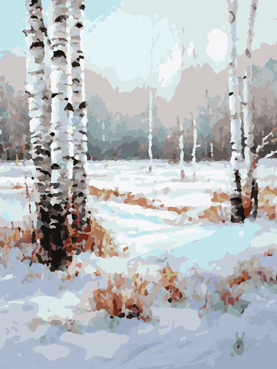 Картина по номерам без подрамника «Зимний лес» 40x30 см