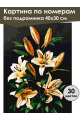 Картина по номерам без подрамника «Букет лилий» 40x30 см
