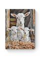 Картина по номерам на подрамнике «Козлята» 50x40 см
