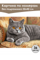 Картина по номерам без подрамника «Кот Британец» 50x40 см