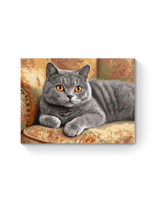 Картина по номерам на подрамнике «Кот Британец» 50x40 см