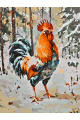 Картина по номерам без подрамника «Петя-петушок» 40x30 см