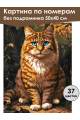 Картина по номерам без подрамника «Рыжий кот» 50x40 см