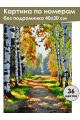 Картина по номерам без подрамника «Лесная тропа» 40x30 см