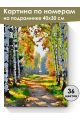 Картина по номерам на подрамнике «Лесная тропа» 40x30 см