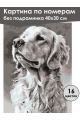 Картина по номерам без подрамника «Лабрадор» 40x30 см