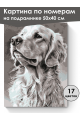 Картина по номерам на подрамнике «Лабрадор» 50x40 см
