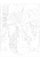 Картина по номерам без подрамника «Красные цветы» 40x30 см