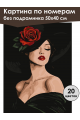 Картина по номерам без подрамника «Леди с розой» 50x40 см