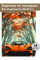 Картина по номерам без подрамника «Суперкар» 40x30 см