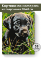 Картина по номерам на подрамнике «Черный щенок» 50x40 см
