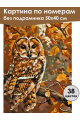 Картина по номерам без подрамника «Совушка» 50x40 см