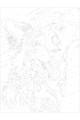 Картина по номерам без подрамника «Бордер-колли» 40x30 см