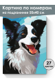 Картина по номерам на подрамнике «Бордер-колли» 50x40 см