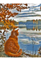 Картина по номерам на подрамнике «Волжский кот» 50x40 см