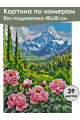 Картина по номерам без подрамника «Пионы в горах» 40x30 см