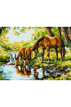 Картина по номерам на подрамнике «Водопой» 50x40 см