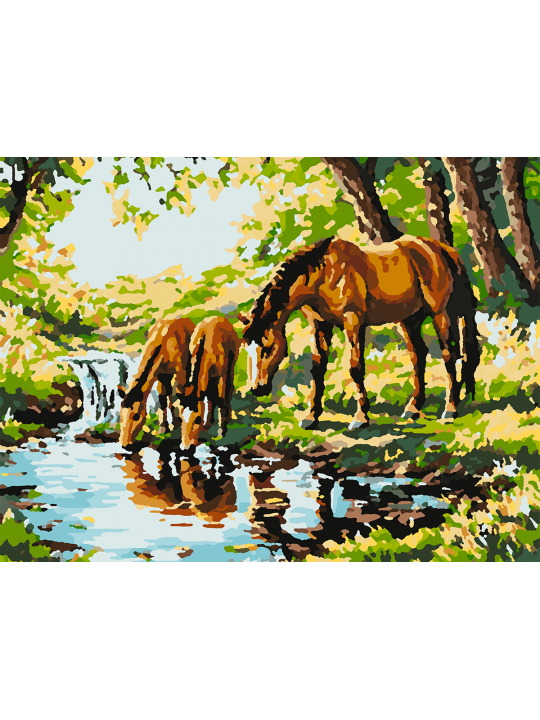Картина по номерам без подрамника «Водопой» 40x30 см