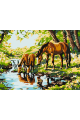 Картина по номерам без подрамника «Водопой» 40x30 см