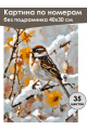 Картина по номерам без подрамника «Воробей» 40x30 см