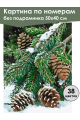 Картина по номерам без подрамника «Еловая ветвь» 50x40 см