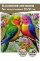 Алмазная мозаика без подрамника «Попугаи» 50x50 см