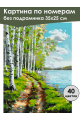 Картина по номерам без подрамника «Березы у воды» 35x25 см