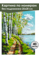Картина по номерам без подрамника «Березы у воды» 25x20 см