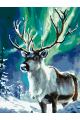 Картина по номерам без подрамника «Олень севера» 25x20 см