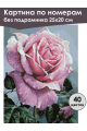 Картина по номерам без подрамника «Розовая роза» 25x20 см