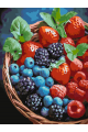 Картина по номерам без подрамника «Вкус лета» 25x20 см
