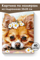 Картина по номерам на подрамнике «Чихуахуа» 35x25 см