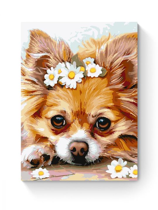 Картина по номерам на подрамнике «Чихуахуа» 35x25 см