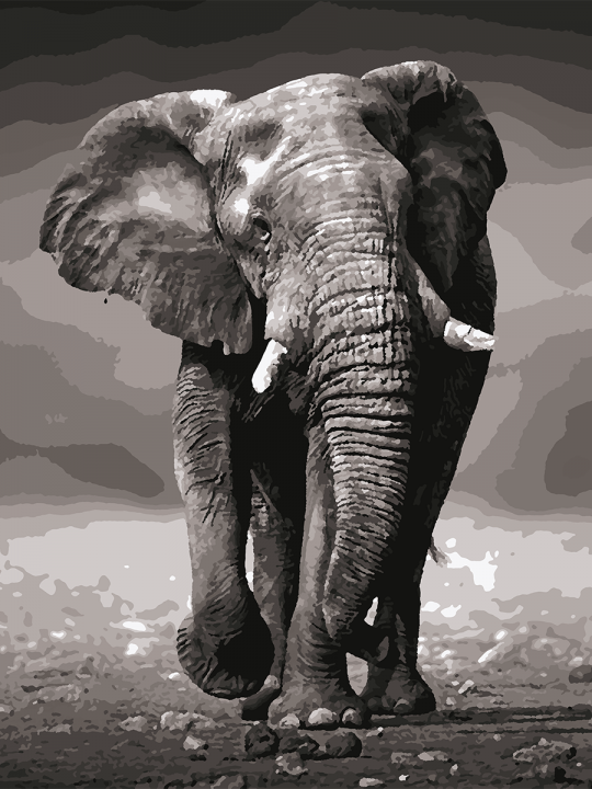 Картина по номерам без подрамника «Слон» 80x60 см