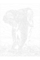 Картина по номерам без подрамника «Слон» 80x60 см