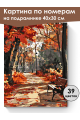 Картина по номерам на подрамнике «Осень в парке» 40x30 см