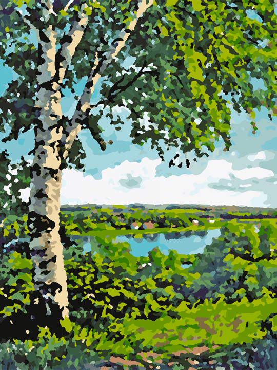 Картина по номерам без подрамника «Просторы» 40x30 см