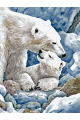 Картина по номерам без подрамника «Белые медведи» 40x30 см