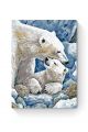 Картина по номерам на подрамнике «Белые медведи» 50x40 см