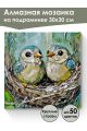 Алмазная мозаика на подрамнике «Птенцы» 30x30 см