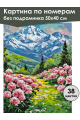 Картина по номерам без подрамника «Долина пионов» 50x40 см