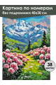 Картина по номерам без подрамника «Долина пионов» 40x30 см