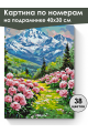 Картина по номерам на подрамнике «Долина пионов» 40x30 см