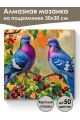 Алмазная мозаика на подрамнике «Голубки» 30x30 см