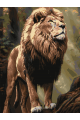 Картина по номерам на подрамнике «Царь зверей» 70x50 см
