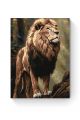 Картина по номерам на подрамнике «Царь зверей» 70x50 см